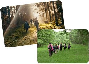 Entdecke Wege Zu Mehr Achtsamkeit