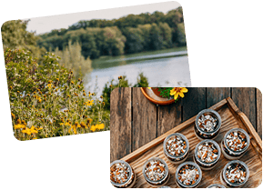 Finde Zurück In Deine Säuren Basen Balance Finde Zurück In Deine Säuren Basen Balance