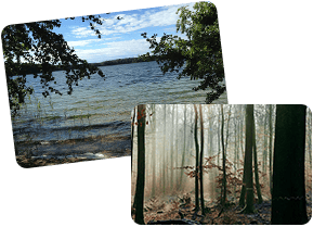 Mit Einem Klick Zu Mehr Entspannung Mit Einem Klick Zu Mehr Entspannung