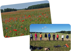 Starte Hier Deine Persönliche Achtsamkeitsreise Starte Hier Deine Persönliche Achtsamkeitsreise