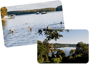 Tauche Ab Beim Waldbaden Tauche Ab Beim Waldbaden