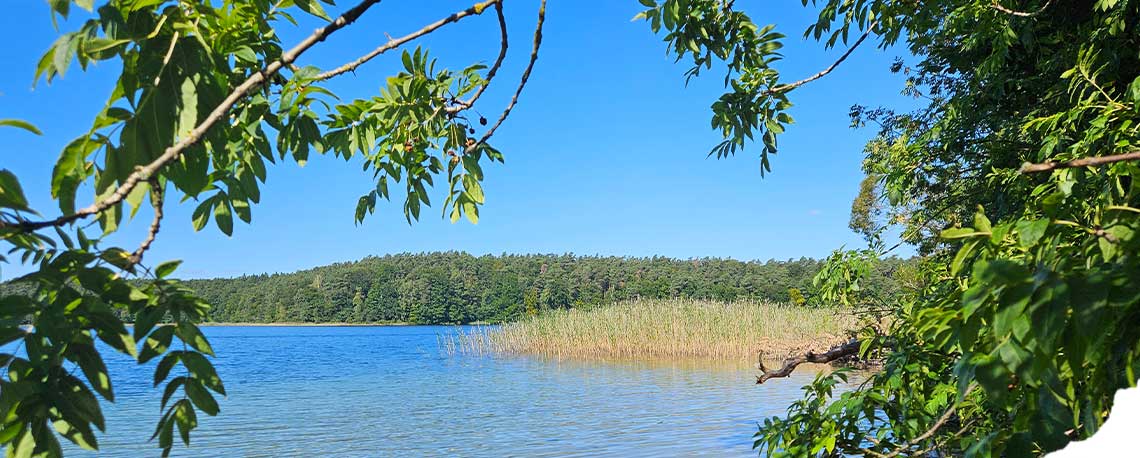 Behm-Methode im Fastenhof Behm