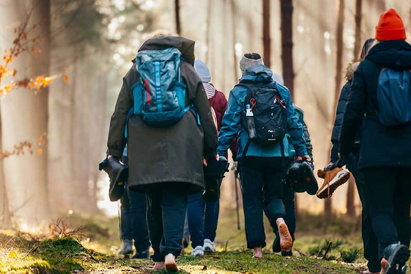 Gruppe beim Fastenwandern im Wald im Rahmen des Behmfastens