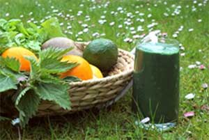 Grüner Smoothie und frische Zutaten beim Behmfasten nach Susanne Behm