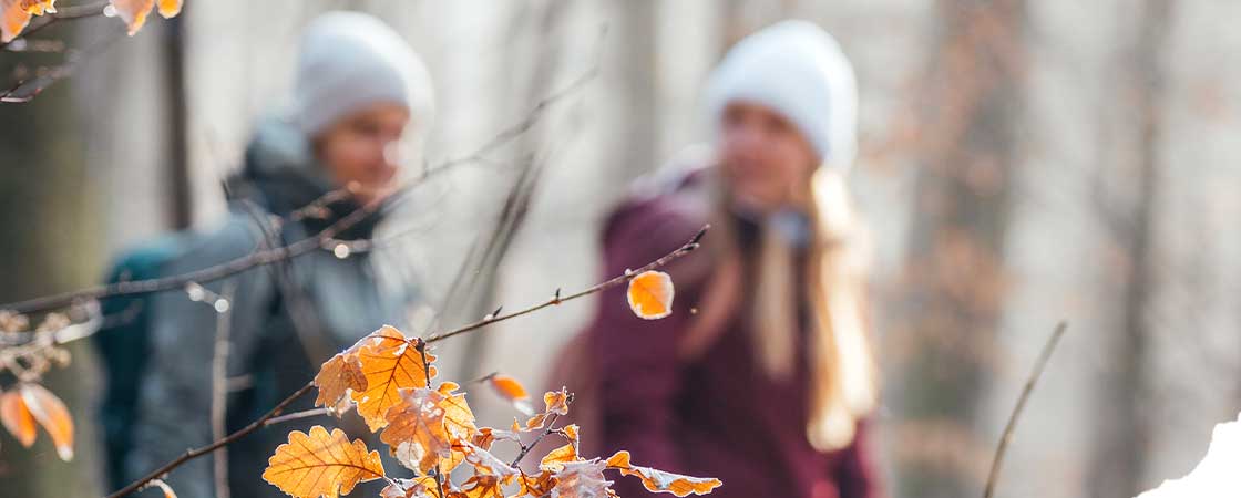 Teilnehmende beim Buchingerfasten auf einer Wanderung im Wald
