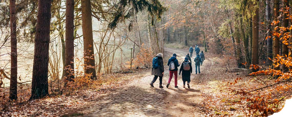 Fasten + Waldbaden beim Wandern im herbstlichen Wald