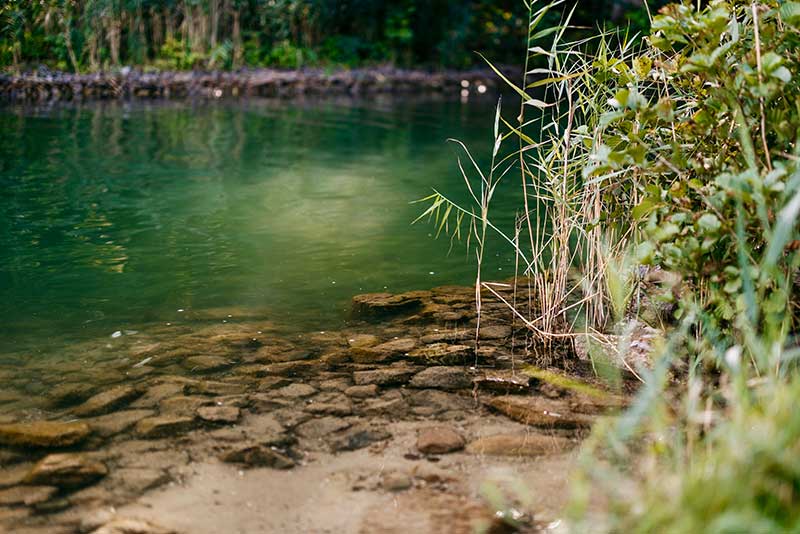 Ruhiges Seeufer beim Waldbaden während des Fastenkurses