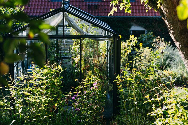 Gewächshaus im Garten des Fastenhof Behm