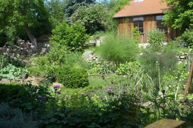 Kräutergarten am Fastenhof mit heimischen Pflanzen