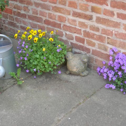 Blumen im Garten auf dem Fastenhof