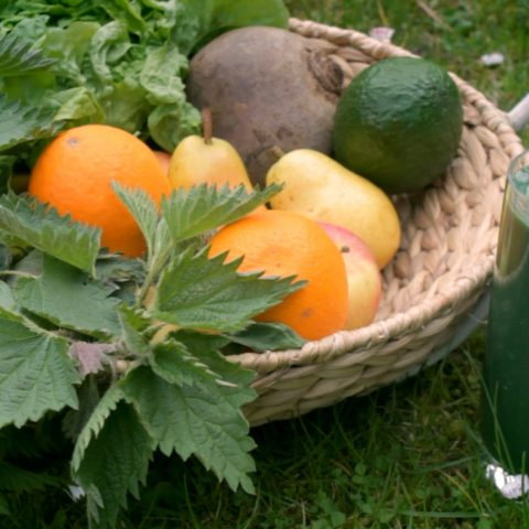 Fastenhof - Fasten mit grünen Smoothies - Behm-Methode