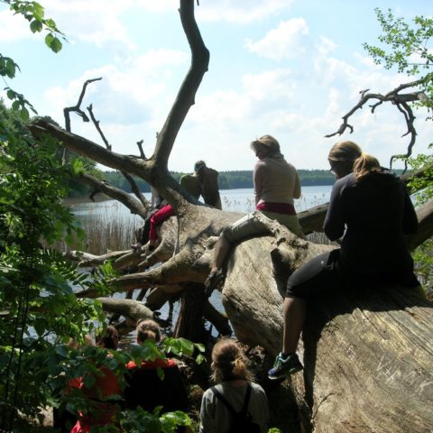 Fastenhof - Teilnehmer sitzen am See auf einem Baumstamm