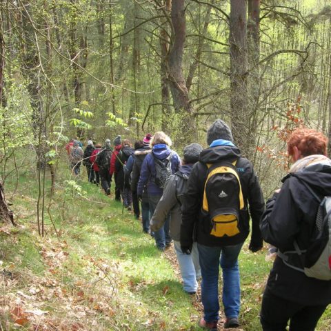 Fastenhof - Wanderung im Wald