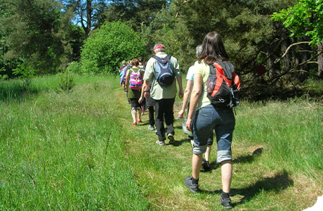 Fastenleiter Team begleitet Teilnehmende auf einer Wanderung