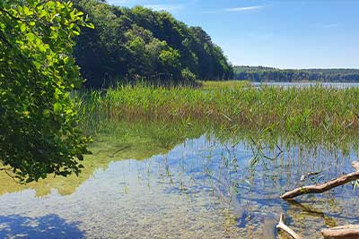 Großer Wummsee im Naturpark Stechlin-Ruppiner Land nahe dem Fastenhof Behm