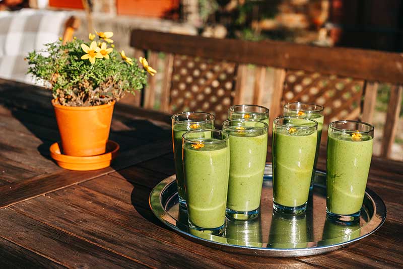 Grüne Smoothies im Fastenprogramm Mehrere Gläser grüne Smoothies bei einem Fastenkurs