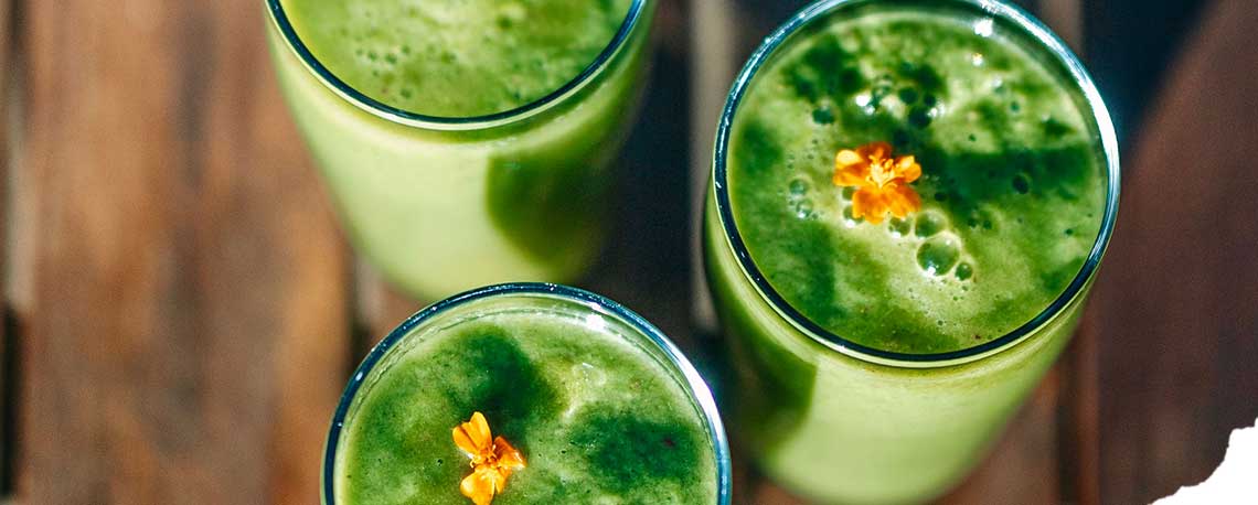 Grüne Smoothies Titelbild Grüne Smoothies aus frischen Zutaten und Wildkräutern