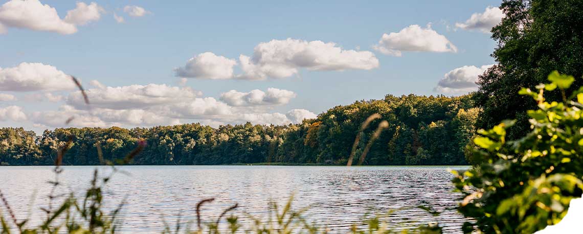 Preise im Fastenhof – Natur & Klarheit Preise 2026 im Fastenhof Behm