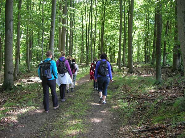 Gruppe beim Shinrin-Yoku im grünen Laubwald