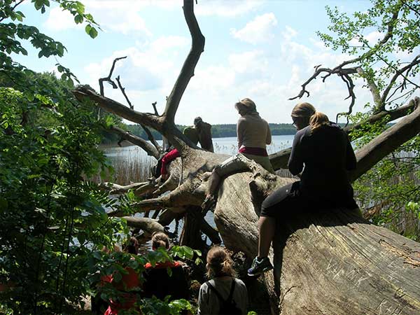 Teilnehmerinnen beim Shinrin-Yoku am See im Wald