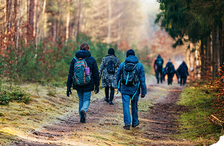 Shinrin-Yoku beim achtsamen Waldbaden im Wald