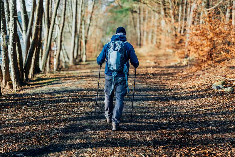 Teilnehmer beim Waldbaden auf einem Waldweg