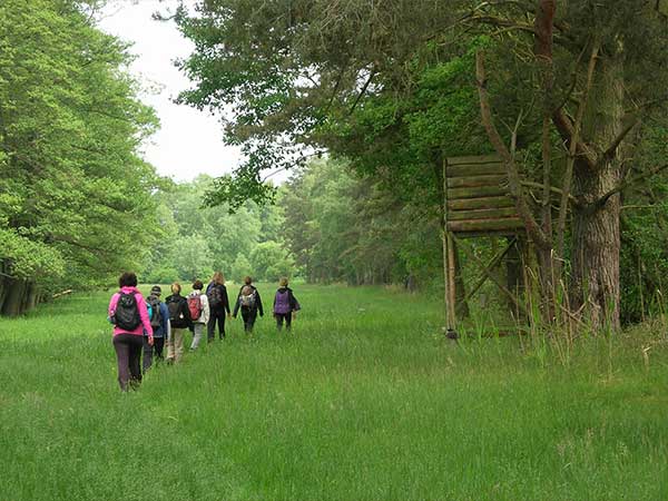 Gruppe beim Shinrin-Yoku auf einer Waldlichtung