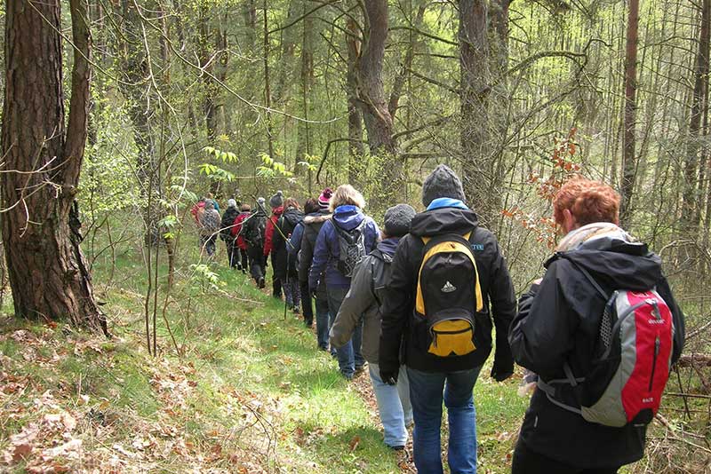 Gruppe beim Fastenwandern im Wald